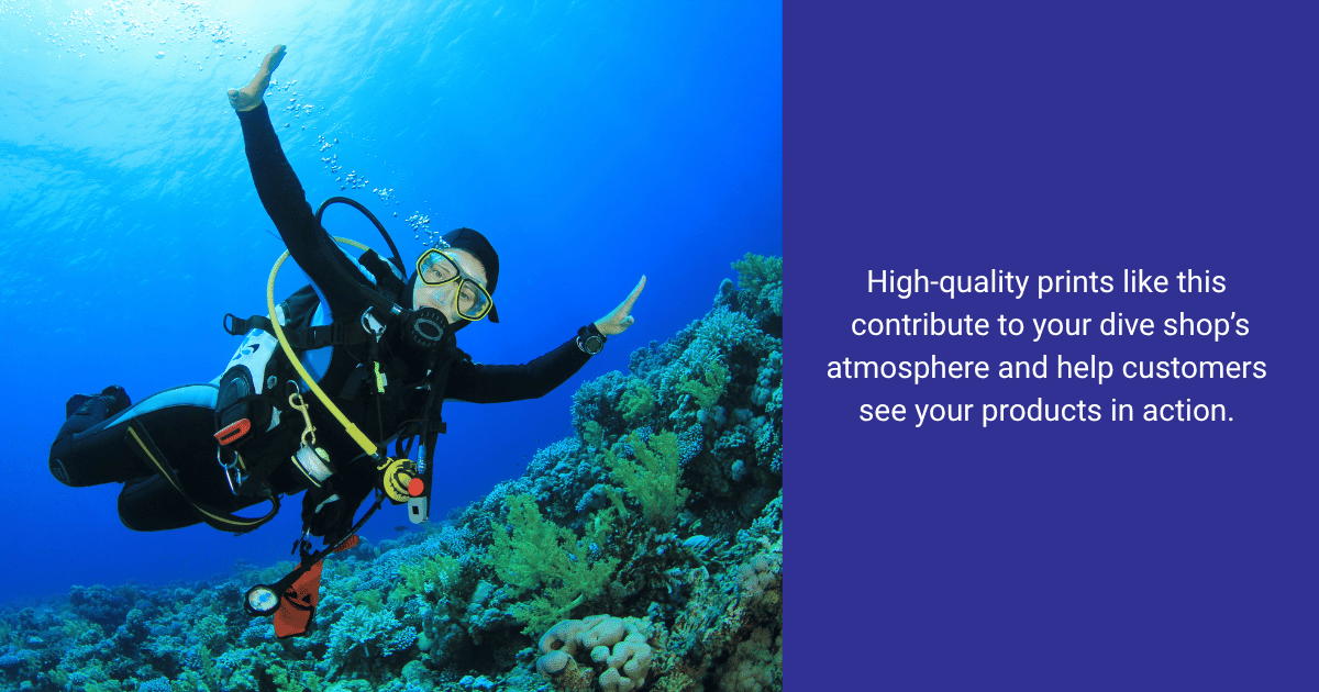 Dive Refresh Visual Merchandising Graphic 1