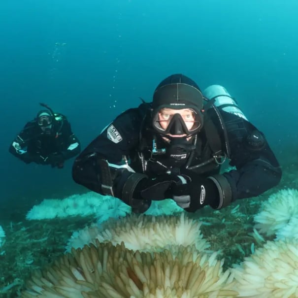 Dive Shop_Rusty Berry