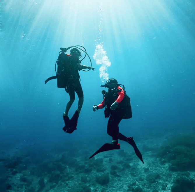 Get ready to love Dive Shop 360