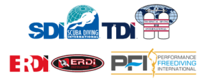SDI-TDI-1-300x120-1