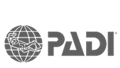 Padi