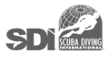 SDI