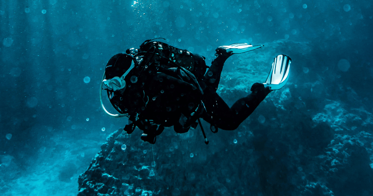 dive-shop-visual-merchandising