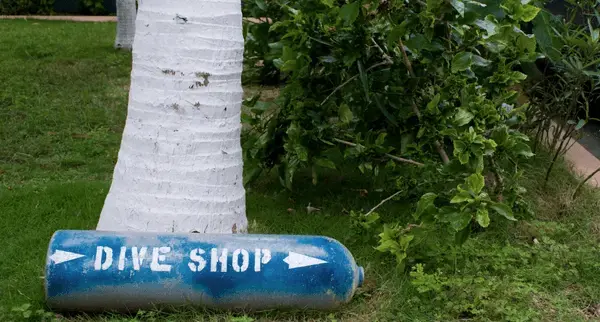 a sign that says 'dive shop' sits in front of a tree outside