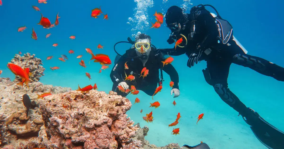two people on an underwater dive